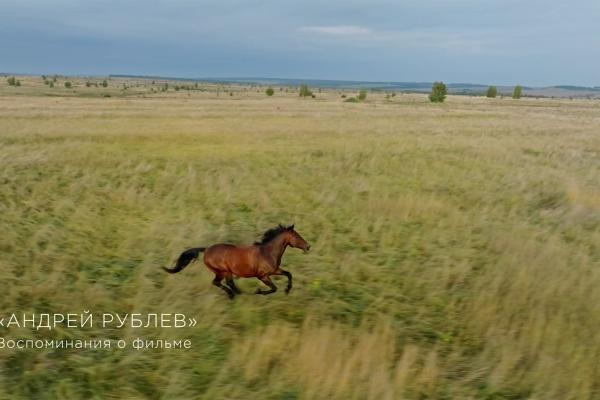 Andrei Rubliov. Amintiri despre film